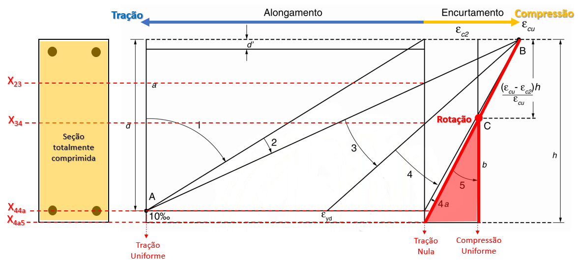 Domínio 5